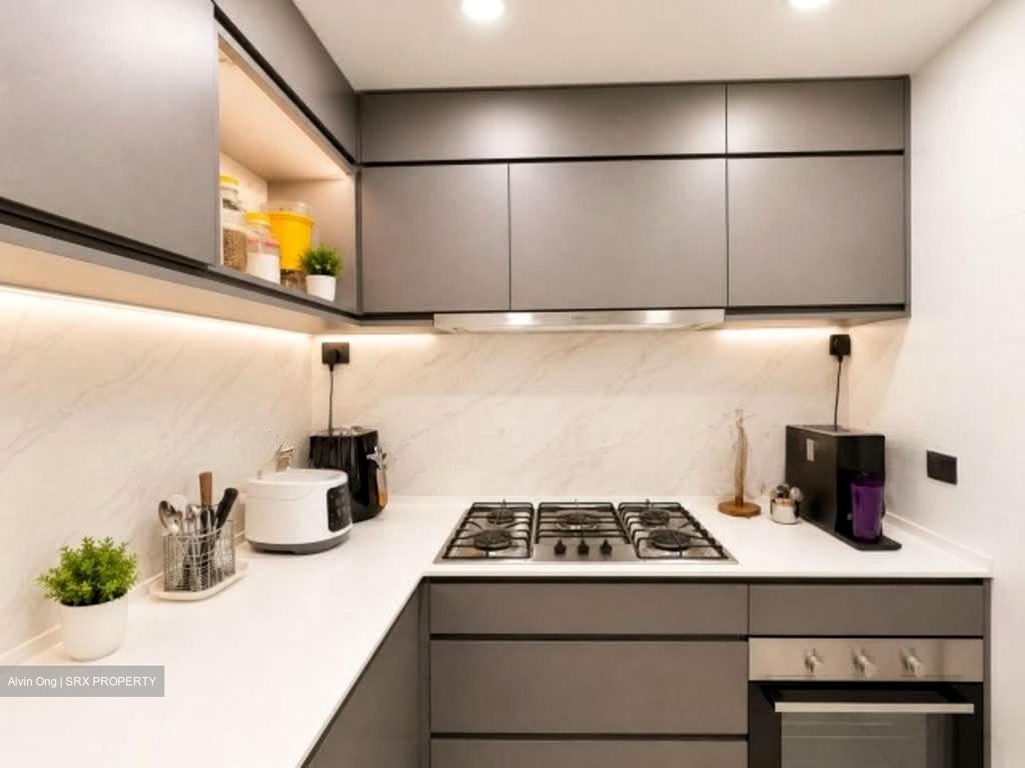 Ecopolitan (D19), Condominium #562448511